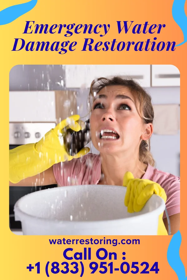 Emergency Water Damage Restoration in Deer Canyon, NM